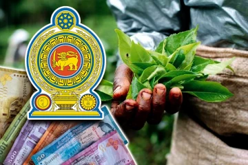 முடிவை எட்டியுள்ள பெருந்தோட்ட தொழிலாளர்களின் சம்பள உயர்வு விவகாரம்