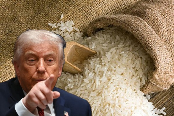 இந்தியா, கனடாவின் விவசாய பொருட்கள் மீது புதிய வரி விதிப்பு: மிரட்டல் விடுத்த டிரம்ப் | Trump Threatens New Agri Tariffs On India Canada இந்தியா, கனடாவின் விவசாய பொருட்கள் மீது புதிய வரி விதிப்பு: மிரட்டல் விடுத்த டிரம்ப் | Trump Threatens New Agri Tariffs On India Canada