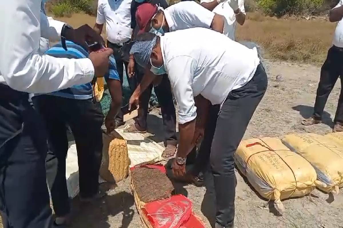 யாழ்ப்பாணத்தில் 600 கிலோ கேரளக் கஞ்சா தீயிட்டு அழிப்பு | 600 Kg Of Kerala Cannabis Destroyed By Fire Jaffna யாழ்ப்பாணத்தில் 600 கிலோ கேரளக் கஞ்சா தீயிட்டு அழிப்பு | 600 Kg Of Kerala Cannabis Destroyed By Fire Jaffna