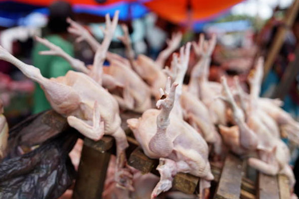 கோழி இறைச்சிக்கு கட்டுப்பாட்டு சில்லறை விலை | Control Retail Price For Chicken Meat