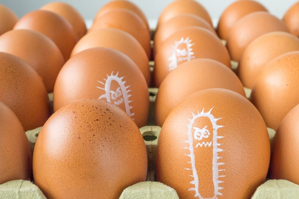 குளிர் சாதன பெட்டியில் முட்டைகளை வைப்பதால் இத்தனை ஆபத்தா! | Dangerous To Keep Eggs In Cold Storage Box