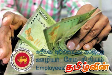 ஊழியர்களுக்கு EPF முறையாக வழங்காத நிறுவனங்கள் தொடர்பில் வெளியாகியுள்ள தகவல்