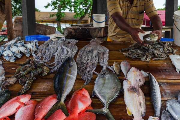 மீன் விலையும் குறைந்தது | Fish Prices Also Decreased