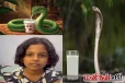 viral video: புற்றில் பால் ஊற்றினாலும் பாம்பு குடிக்காது! காரணத்துடன் விளக்கும் சிறுமி