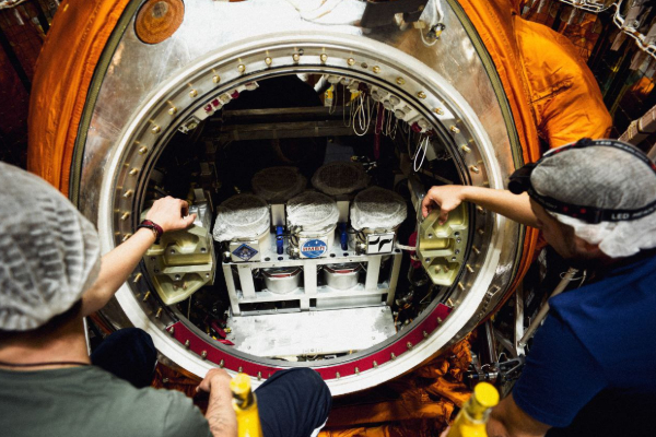 russia sends 75 mice to space in station