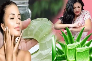 கற்றாழையில் இவ்வளவு தீமையும் இருக்கா! யாரெல்லாம் பயன்படுத்தக்கூடான்னு தெரியுமா?