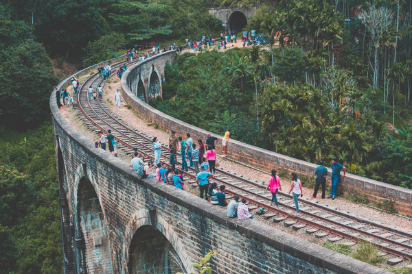 எல்ல 9 வளைவு பாலத்தில் இந்திய சுற்றுலாப் பயணிக்கு காத்திருந்த அதிர்ச்சி | Indian Tourist Ella 9 Arch Bridge Hick Train