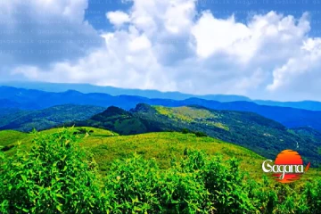 රිවස්ටන් කලාපය දෙස් විදෙස් සංචාරකයින්ට යළි විවෘතයි