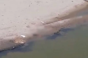 கங்கையை தொடர்ந்து யமுனை ஆற்றிலும் கொரோனா சடலங்களா? பகீர் கிளப்பும் வீடியோ