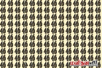 6 வினாடிகளுக்குள் 46ல் தலைகீழான 46ஐக் கண்டுபிடிக்க முடியுமா?