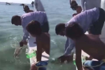 நடுகடலில் சுறாமீனை பிடித்த நபர்! எதிர்பாராமல் அரங்கேறிய அதிர்ச்சி