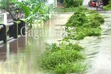 අද හෙට රත්නපුර යනවා නම් පරිස්සමෙන්. - කළු ගඟ රත්නපුරේ මාර්ග රැසක් යට කරයි.