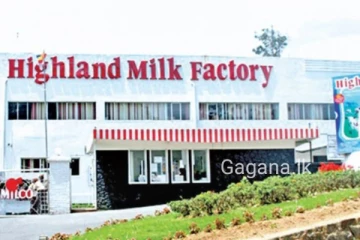 විකුණන්න ගිය මිල්කෝ ගැන ලංකාවට සුබ ආරංචියක්..මාසයක් ඇතුලත සිදු වූ දේ..