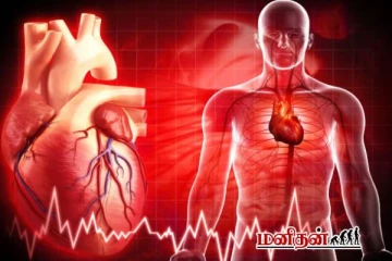 பெண்களைவிடவும் ஆண்களுக்கு இதய நோய் வர இதுவே காரணம் - ஆய்வு தகவல்