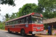 මේ බස්වලට අලුත් නීතියක්.. ආයේ තේ බොන්න නවත්තන්න බෑ