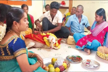 என்னது நாய்க்கு வளைகாப்பு நிகழ்ச்சியா? மனிதநேயத்தின் உச்சக்கட்ட கொண்டாட்டம்