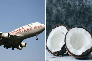 விமானங்களில் தேங்காய்க்கு அனுமதி இல்லை - இதற்கு இப்படி ஒரு காரணமா?