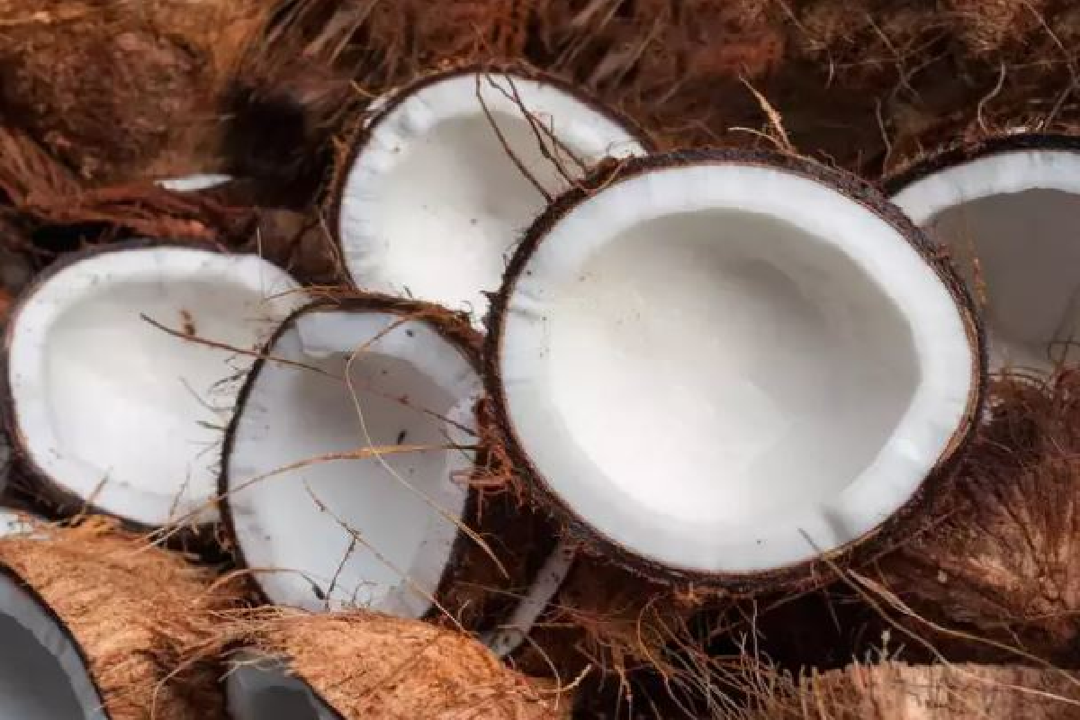 பல உடல் பிரச்சினைகளுக்கு அற்புத தீர்வு தரும் தேங்காய் | Coconut Offers Amazing Solutions To Many Problems பல உடல் பிரச்சினைகளுக்கு அற்புத தீர்வு தரும் தேங்காய் | Coconut Offers Amazing Solutions To Many Problems