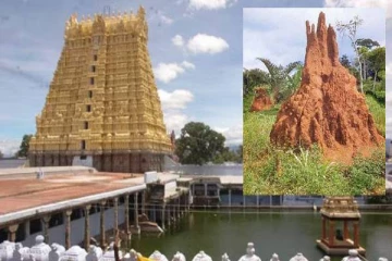 நோய் தீர்க்கும் புற்றுமண் பிரசாதம்