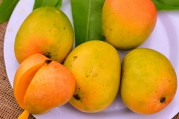 மாம்பழ விவகாரம்! - பாகிஸ்தான் மறுப்பு