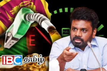 நாட்டின் எரிபொருள் இருப்பு...! அநுர அரசின் மீது எழுந்துள்ள சந்தேகம்