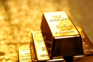 இலங்கையில் இருந்து கடல் வழியாக பாரிய தங்க கடத்தல் - கடலுக்குள் இருந்து மீட்கப்பட்ட தங்க கட்டிகள்