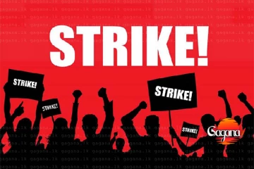 සරසවි ආචාර්යවරු සහ මහාචාර්යවරු වැඩවර්ජනයක්