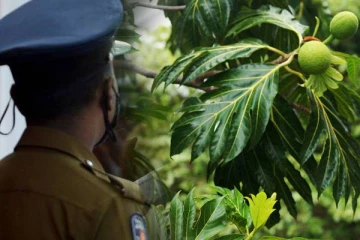 இலங்கையில் பிள்ளையின் பசியை போக்கிய தாய்மீது தாக்குதல்!