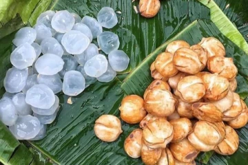 நீரிழிவு நோயாளிகள் நுங்கு சாப்பிட்டால் என்ன நடக்கும் தெரியுமா? இனி முழுசா தெரிஞ்சிக்கோங்க