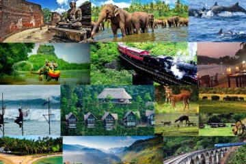 சுற்றுலா பயணிகளின் வருகையில் ஏற்பட்டுள்ள மாற்றம்