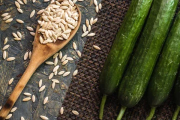 நோய் எதிர்ப்பு சக்தியை அதிகரிக்கும் வெள்ளரியில் விதையில் இத்தனை மருத்துவப்பயன்களா?