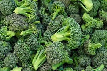 உங்களுக்கு கசப்பு பிடிக்காதா? கொரோனா தொடர்பில் உங்களுக்கு ஒரு மகிழ்ச்சியான செய்தி