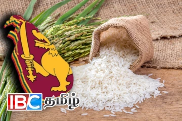 அரசி விலை குறித்து வெளியான தகவல்