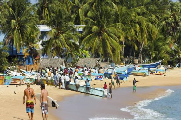 சுற்றுலாத்துறை அமைச்சர் எடுத்துள்ள அதிரடி நடவடிக்கை! | Action Taken By Sri Lanka Tourism Minister