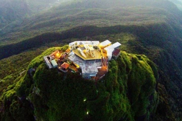 சிவனொளிபாத மலையில் Koenigia Mollis!