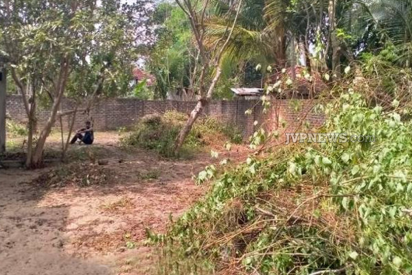 தமிழர் பகுதியொன்றில் கொடிய நோயால் 41 பேருக்கு ஏற்பட்ட நிலை! | Valaichchenai Identified 41 Dengue Patients