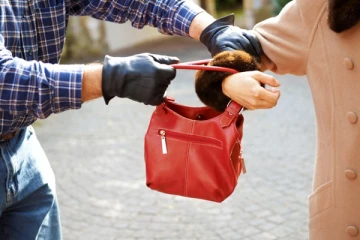 கனடாவில் உணவகத்துக்குச் சென்றவரிடம் நூதன முறையில் கொள்ளையடித்த பெண்