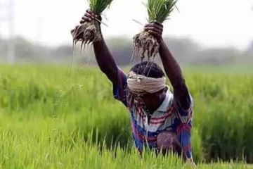 71,000 விவசாய குடும்பங்களுக்கு அரசு வெளியிட்டுள்ள மகிழ்ச்சியான தகவல்!
