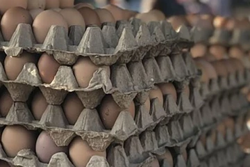 ඉන්දියාවෙන් ගෙනා බිත්තර තොගයක් වෙළඳසැලක අලෙවියට තබා සිදු වූ දේ..