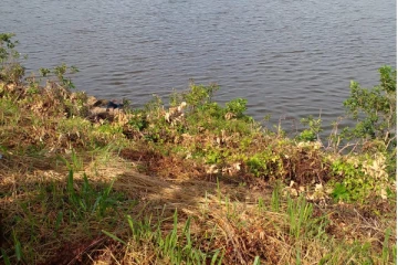 அநுராதபுரத்தில் குளத்திலிருந்து ஆண் ஒருவரின் சடலம் மீட்பு