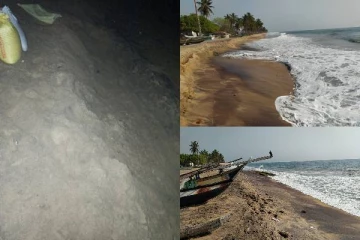 சட்டவிரோதமாக சுரண்டப்படும் கிழக்கின் இயற்கை வளங்கள்! (படங்கள்)