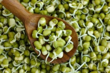 முளைகட்டிய தானியங்களை யாரெல்லாம் சாப்பிடக்கூடாது? காலையில் எப்படி சாப்பிடணும்