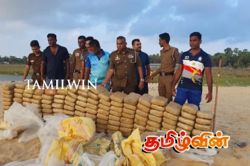 யாழில் 300 கிலோவுக்கும் அதிகமான கஞ்சா பறிமுதல்