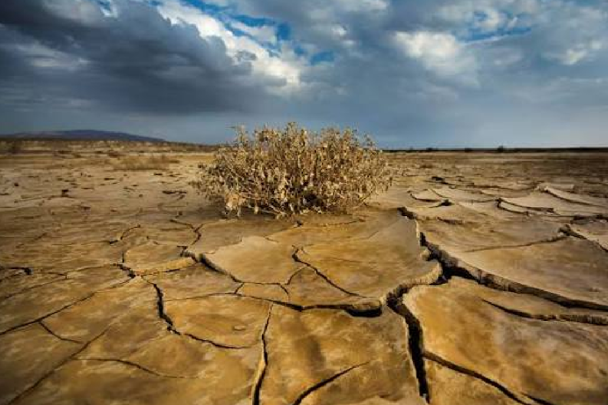 நாட்டின் பல பகுதிகளில் வறட்சி வறட்சியான காலநிலை | Drought And Dry Weather Conditions In Many Parts