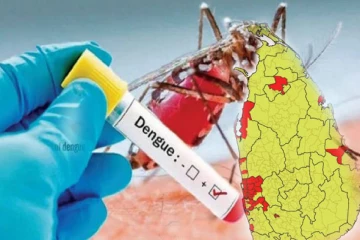 டெங்கு பரவல் தீவிரம் ; நாளொன்றுக்கு 650 வரை டெங்கு நோயாளர்கள் பதிவு