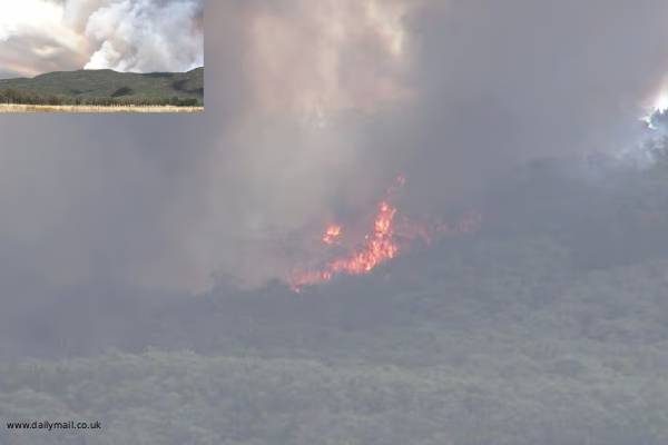 bushfire warning in australia