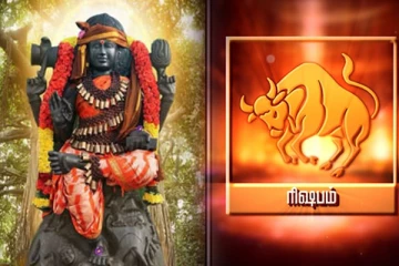 ரிஷபம் குரு பெயர்ச்சி பலன்கள் 2021 : குருபார்வையால் எதிர்பாராத தனலாபம் கிடைக்கப்போகின்றதாம்!