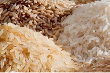 விவசாய அமைச்சு வெளியிட்ட முக்கிய தகவல்!