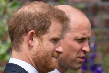 வில்லியமுக்கோ ஹரிக்கோ கிடைக்காமல் வேறொரு நபருக்கு கிடைக்கவிருக்கும் டயானாவின் சொத்து