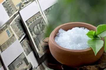 பணத்திற்கு பஞ்சமே வரக்கூடாதா? அப்போ பச்சை கற்பூரத்தை இப்படி பயன்படுத்துங்க